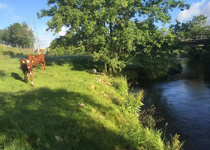 Farma Eikeland Gard Bjerkreim